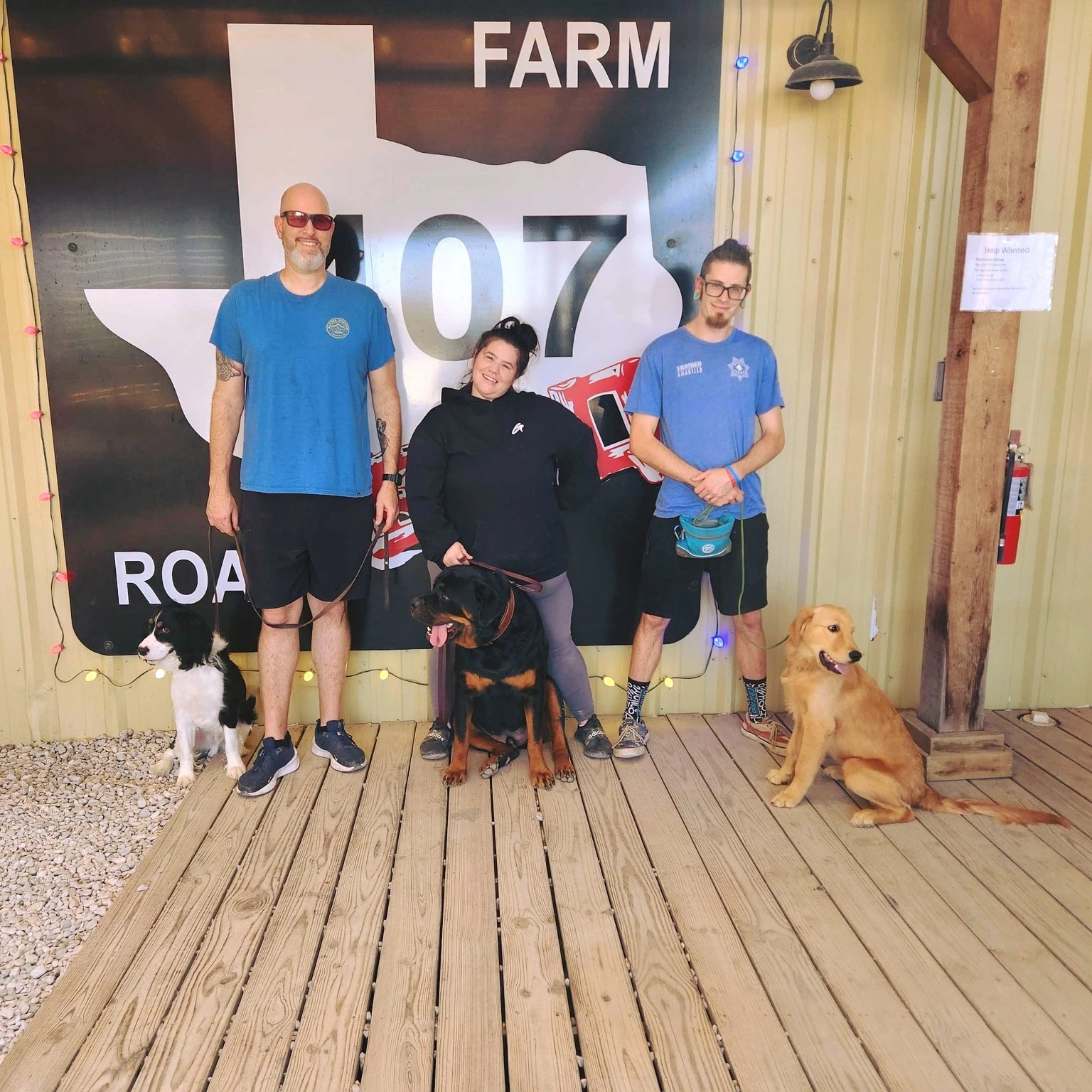 Proven K9 Training staff with dogs
